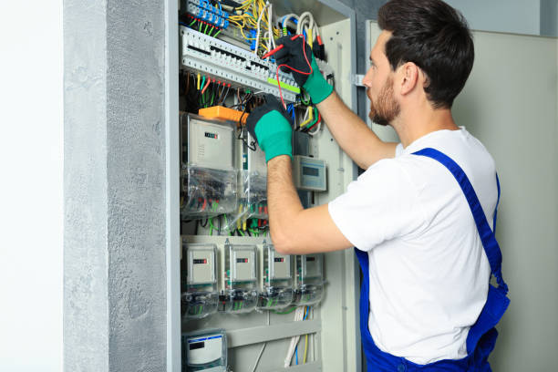 Best Ceiling Fan Installation Electrician  in Silver Springs, NV